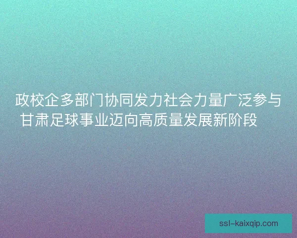 政校企多部门协同发力社会力量广泛参与甘肃足球事业迈向高质量发展新阶段 ⚽️